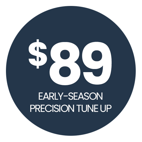 $89 Precision AC Tune-up