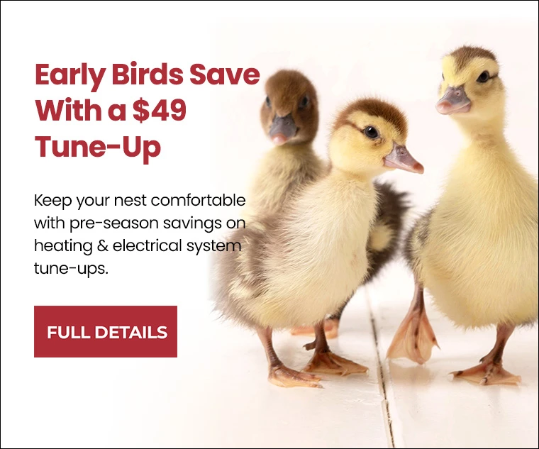 Save with a $49 Tune-Up